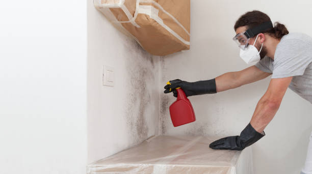 Professional Mold Inspection And Testing technician working in Whitehall, MI